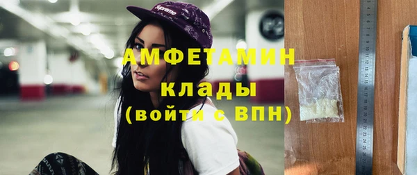 шишки Магас
