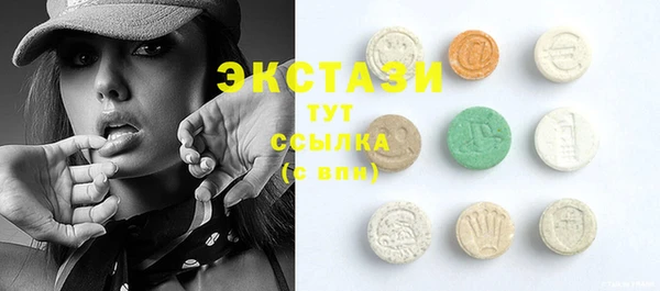шишки Магас