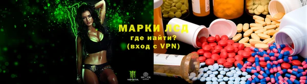 шишки Магас