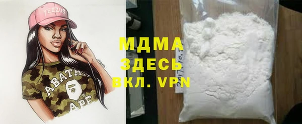 шишки Магас
