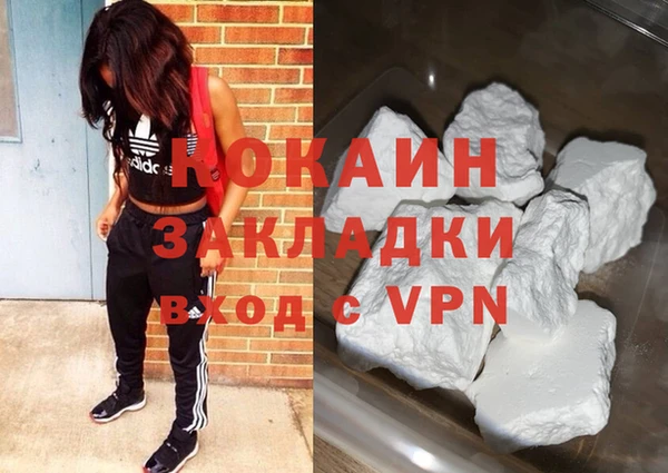 шишки Магас