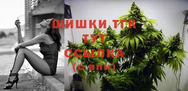 эйфоретик Медногорск