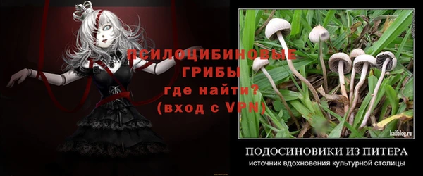 эйфоретик Медногорск