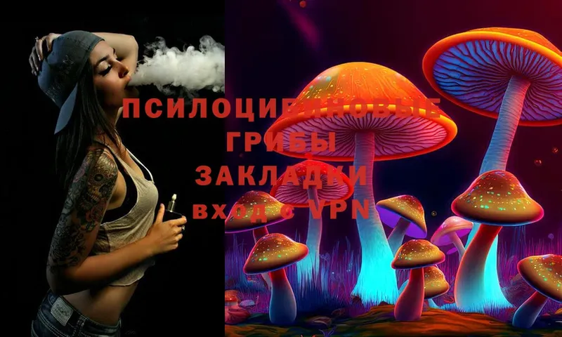 Псилоцибиновые грибы Cubensis Пугачёв