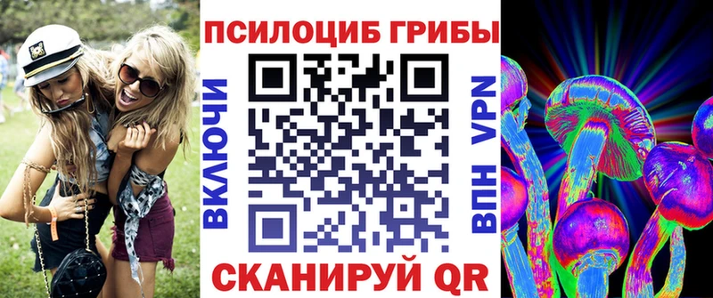 Псилоцибиновые грибы Cubensis  где купить наркоту  Пугачёв 